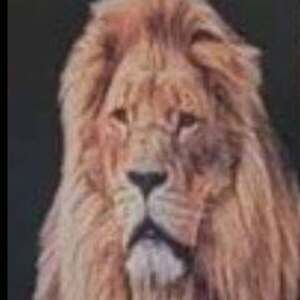 Meet your Posher, Romano